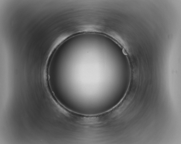 X0000115521285200911131438