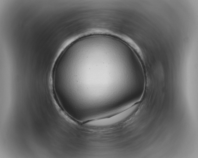 X0000115521287200911131438