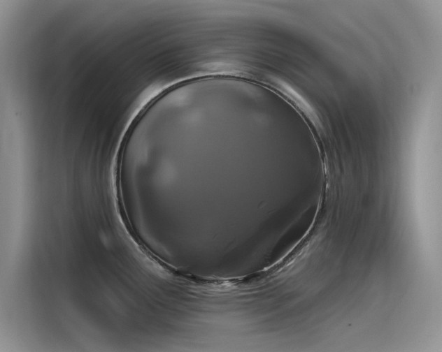 X0000115521291200911131438