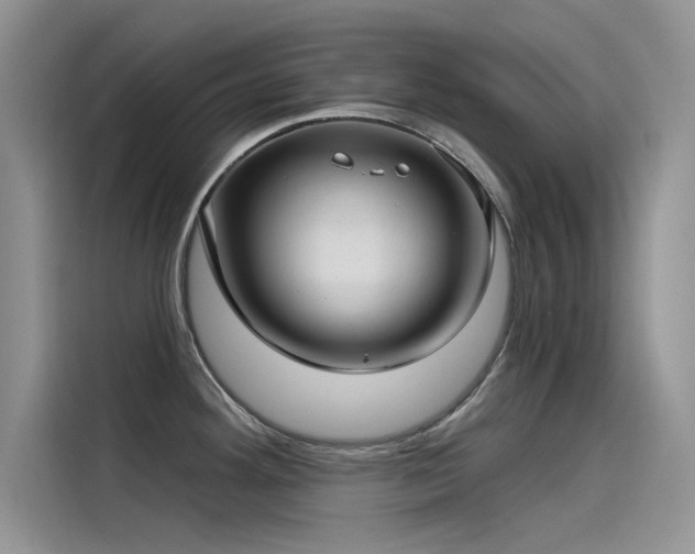 X0000115521292200911131438