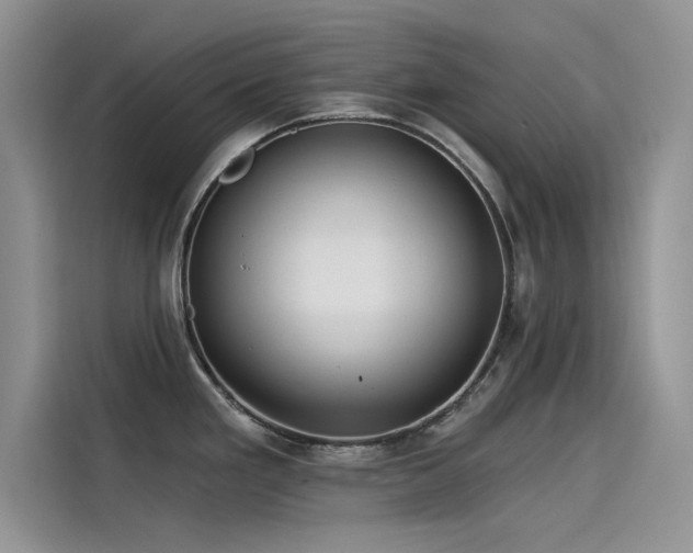 X0000115521293200911131438