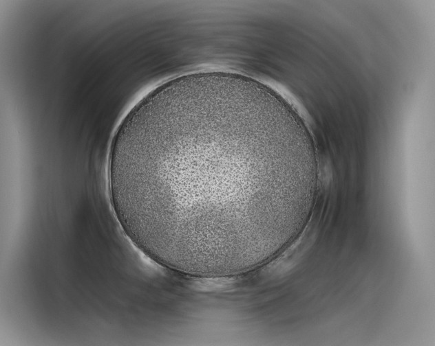 X0000115521294200911131438