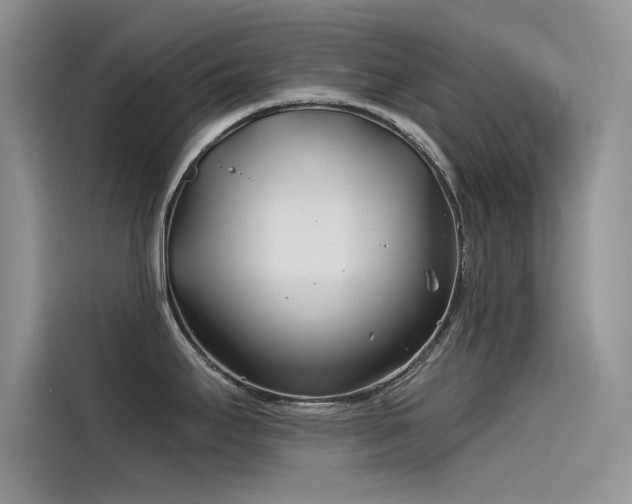 X0000115521295200911131438