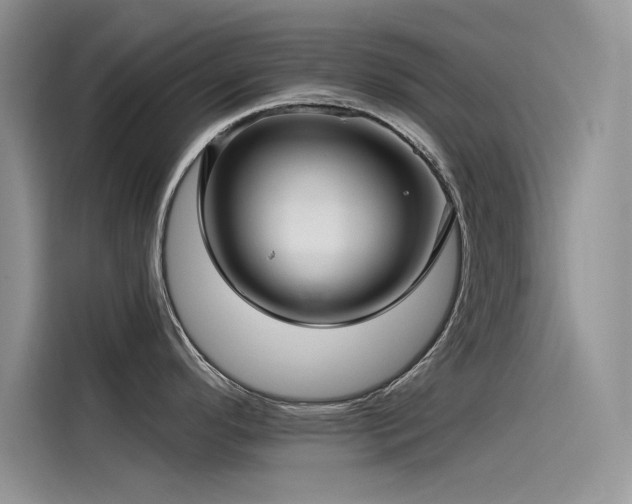 X0000115521296200911131438