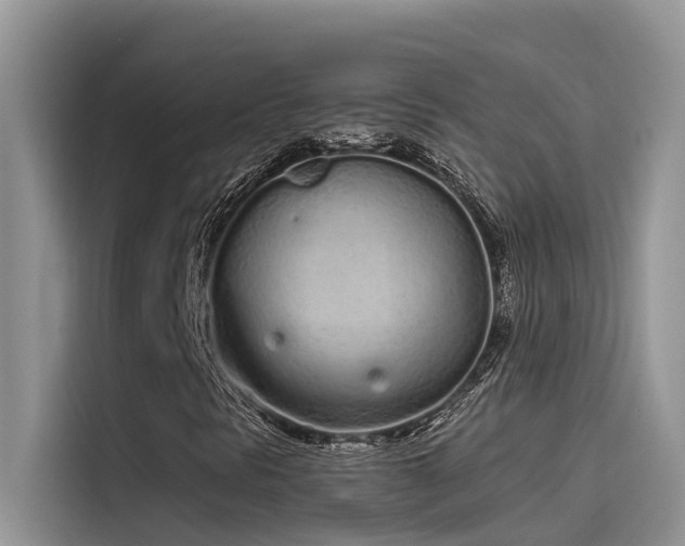 X0000115521297200911131437