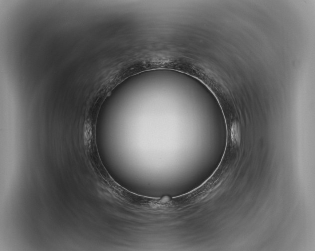 X0000115521299200911131437