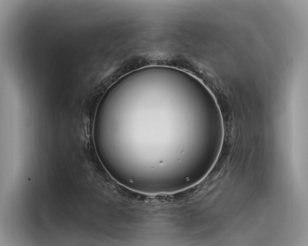 X0000115521301200911131437