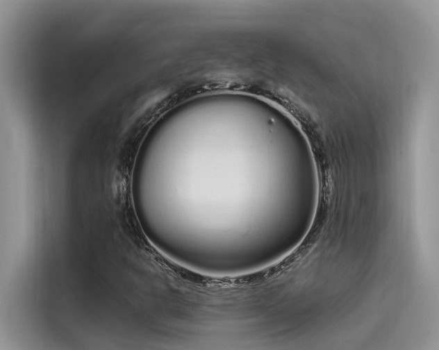 X0000115521302200911131437