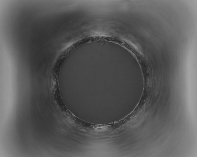 X0000115521303200911131437