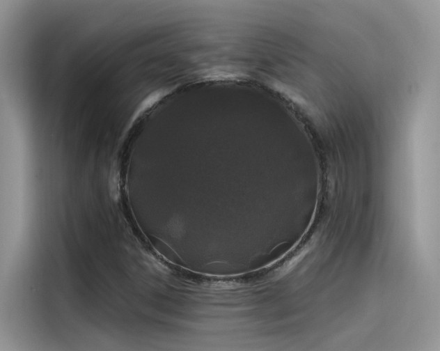 X0000115521306200911131437