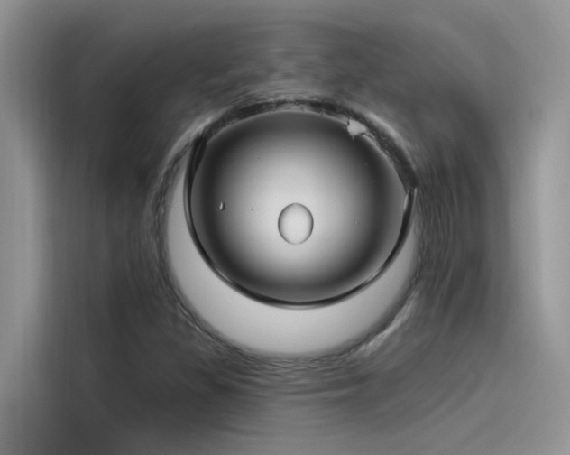 X0000115521309200911131437