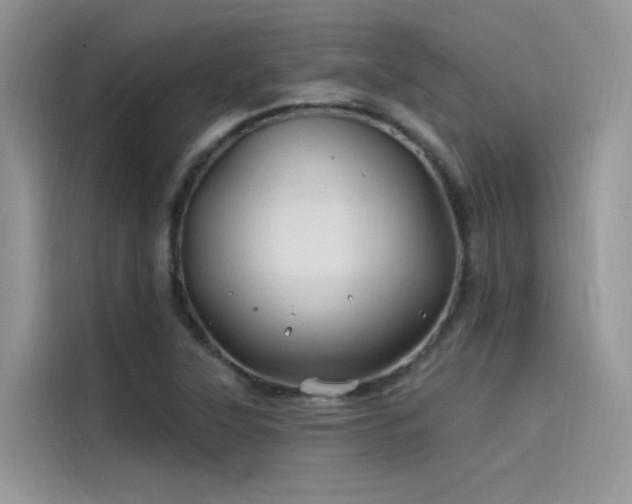 X0000115521315200911131437