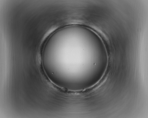 X0000115521317200911131437