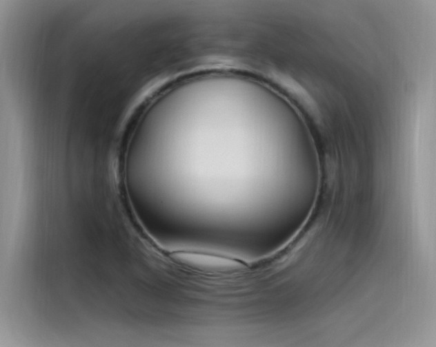 X0000115521318200911131437