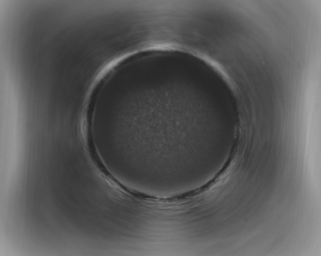 X0000115521319200911131437