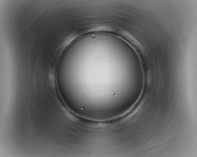 X0000115521321200911131437