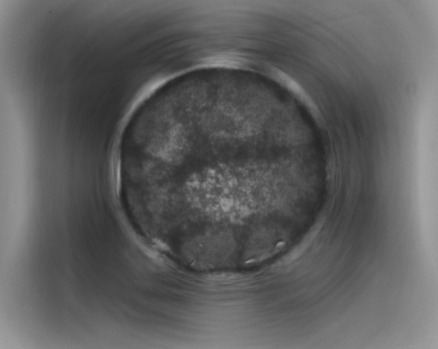 X0000115521323200911131437