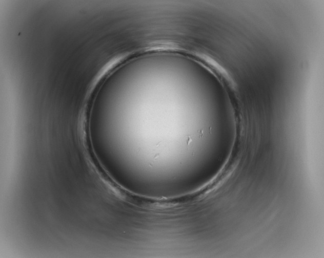 X0000115521325200911131437