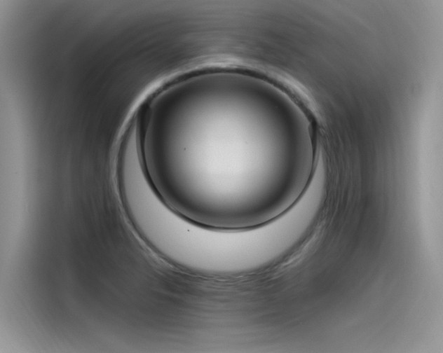 X0000115521326200911131437