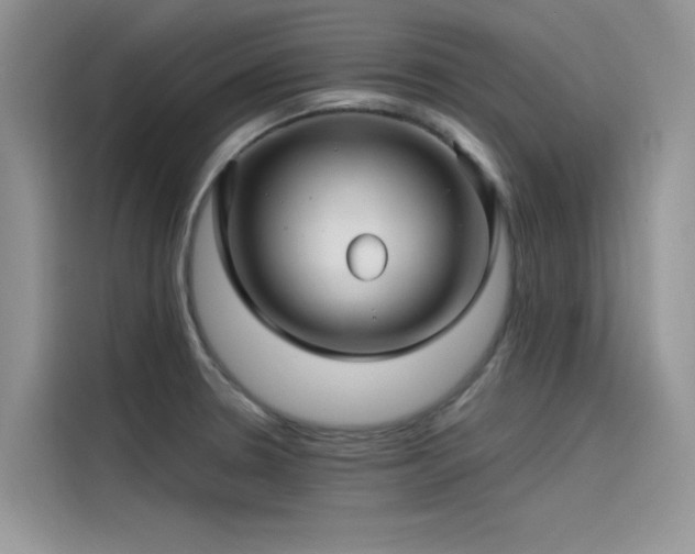 X0000115521330200911131437