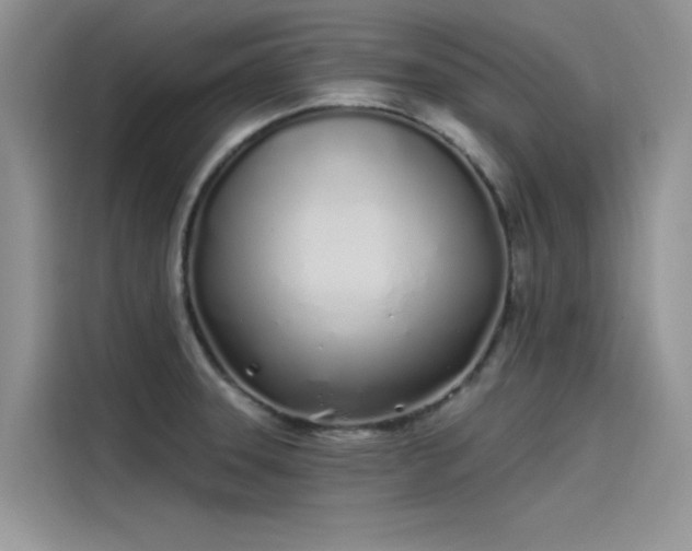 X0000115521331200911131437