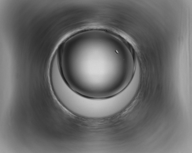 X0000115521334200911131437