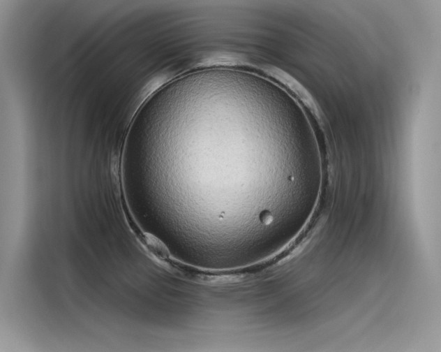 X0000115521337200911131437