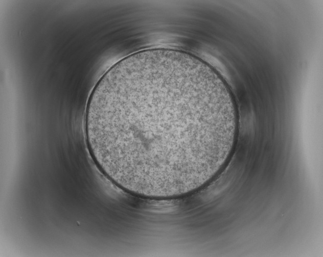 X0000115521338200911131437