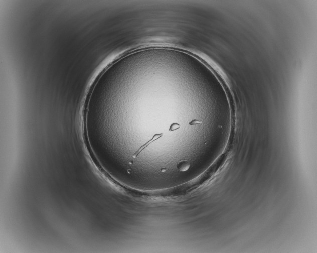 X0000115521341200911131437