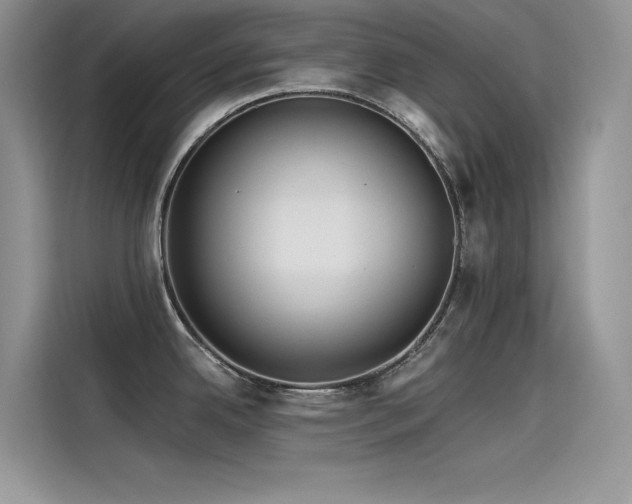 X0000115521342200911131438