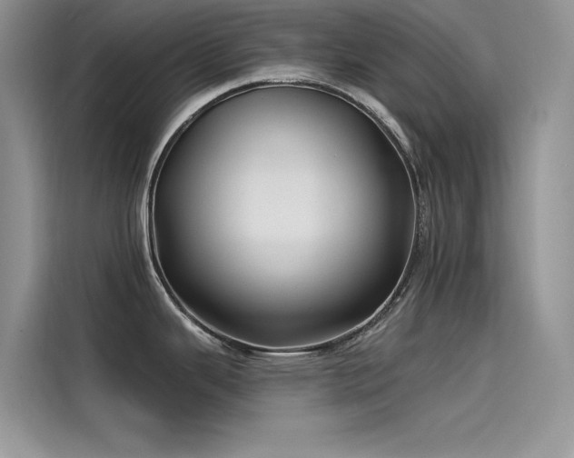 X0000115521343200911131438