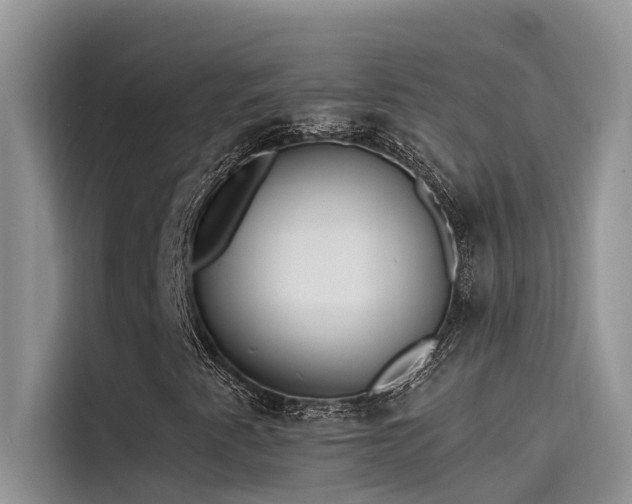 X0000115521345200911131437