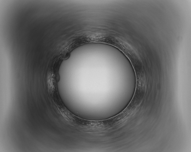 X0000115521346200911131437