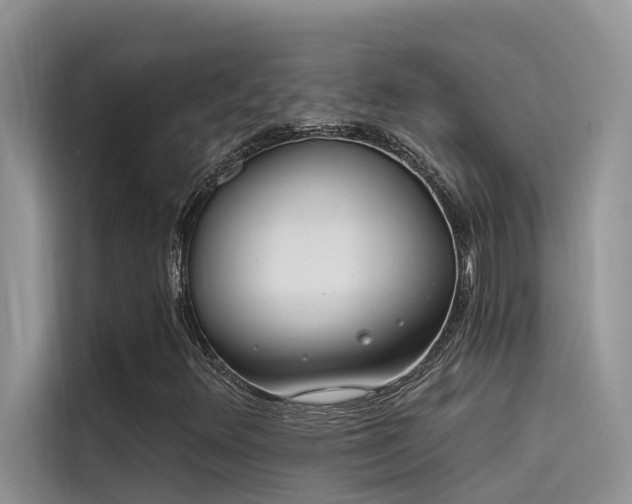 X0000115521348200911131437