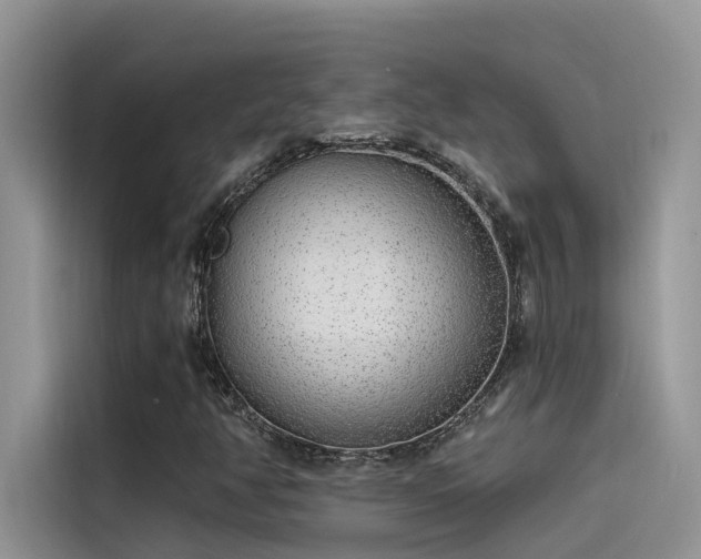 X0000115521350200911131437