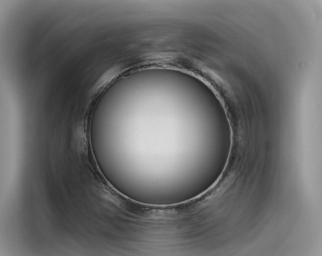 X0000115521354200911131437