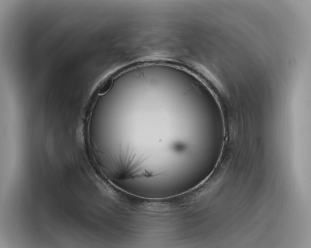 X0000115521356200911131437