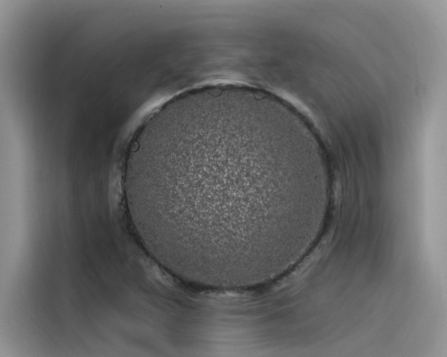 X0000115521359200911131437