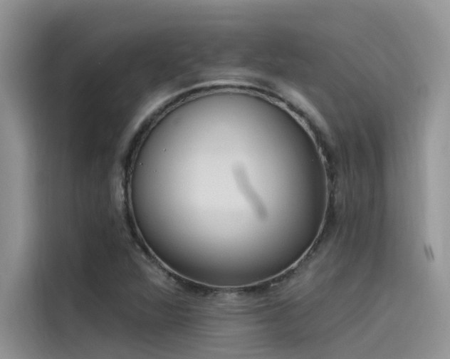 X0000115521360200911131437