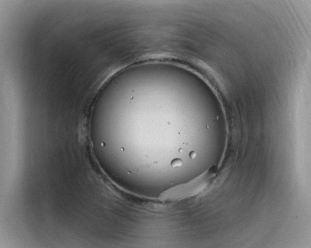 X0000115521361200911131437