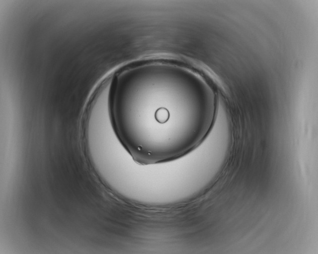 X0000115521364200911131437