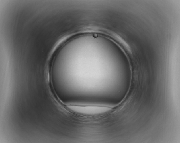 X0000115521368200911131437