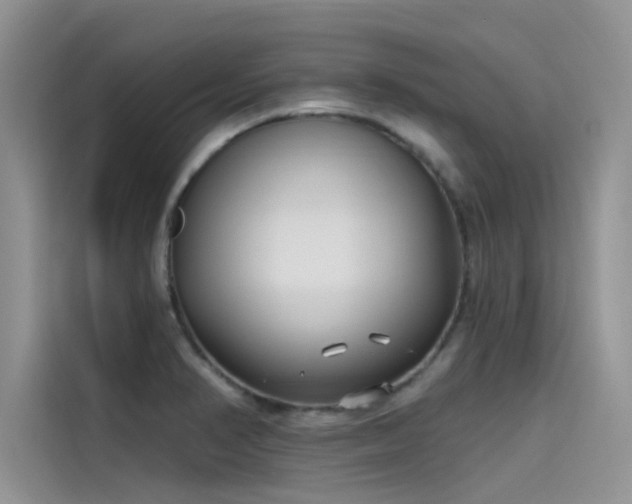 X0000115521374200911131437