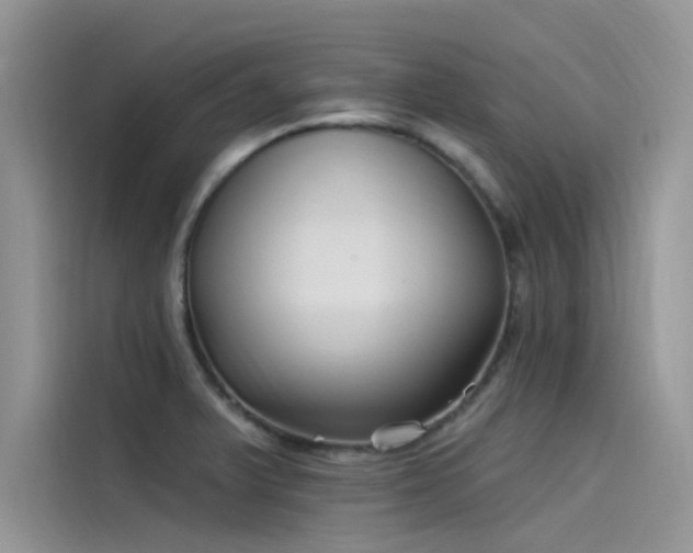 X0000115521375200911131437