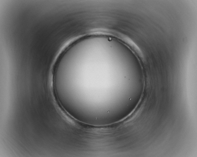 X0000115521376200911131437