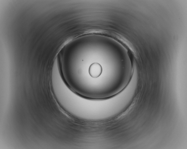 X0000115521377200911131437