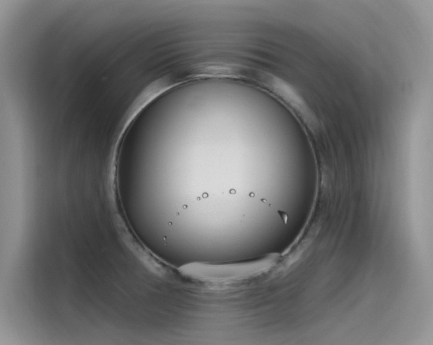 X0000115521378200911131436