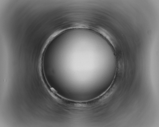 X0000115521379200911131436