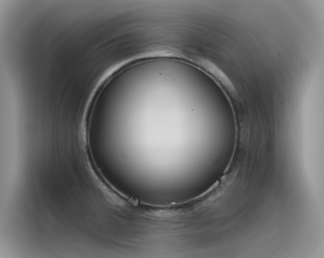 X0000115521380200911131436
