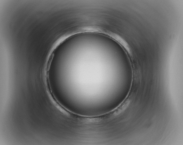 X0000115521381200911131436